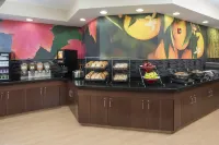 Fairfield Inn & Suites Chicago Tinley Park Hoteles en Tinley Park