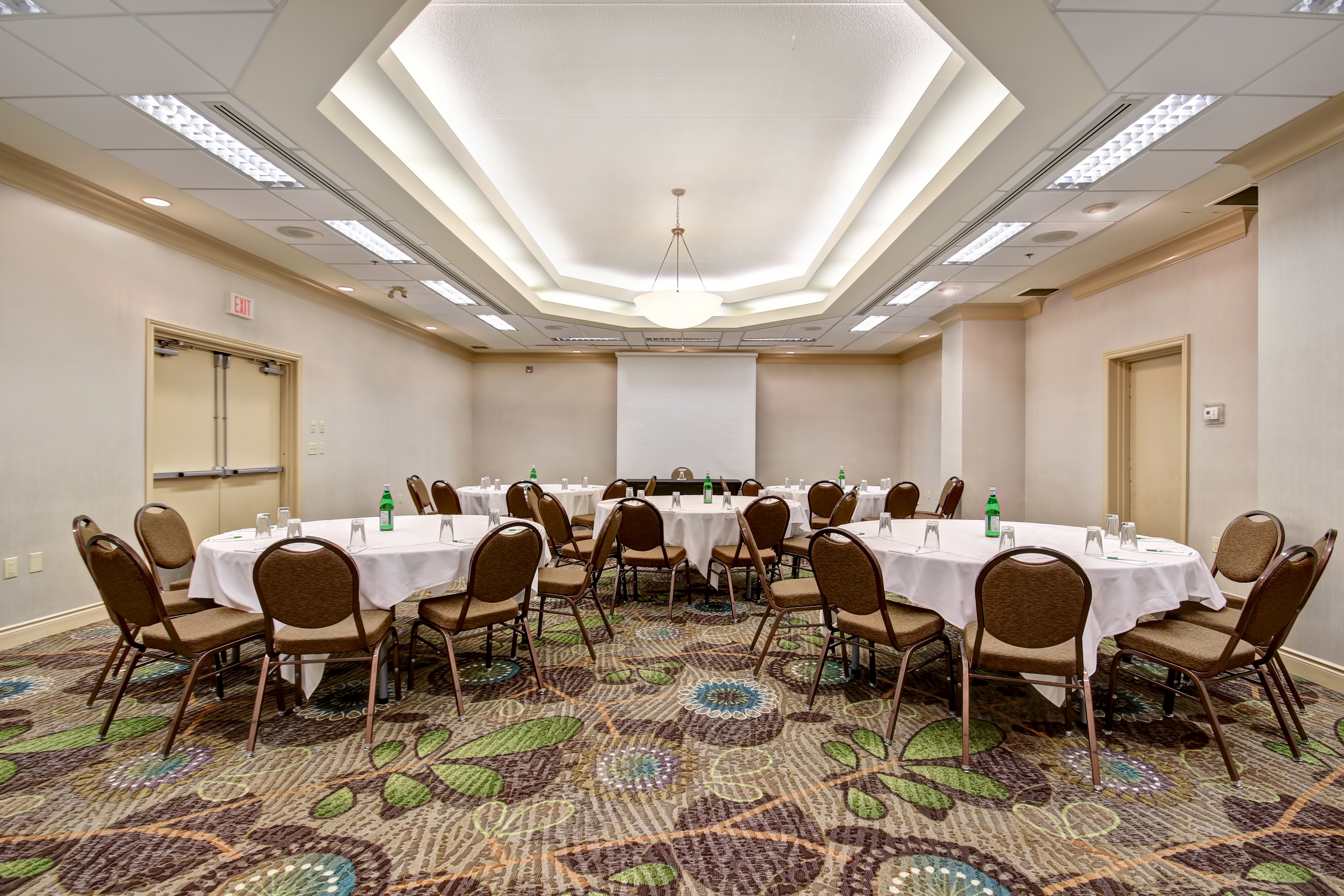 Holiday Inn Windsor - Ambassador Bridge, an Ihg Hotel