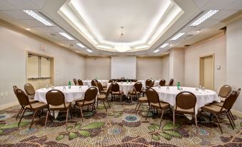 Holiday Inn & Suites Windsor (Ambassador Bridge)