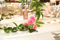 Hotel Gasthaus Zur Krone Hotels in Widdig