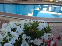 Main Street Motel Hotels in Pialba