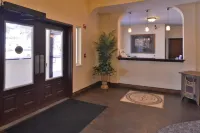 콜로라도스 블루 스프루스 인