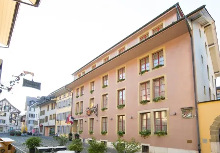 Hotel Engel Отели в г. Зафенвиль