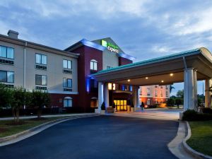 Holiday Inn Express & Suites Buford-Mall of GA