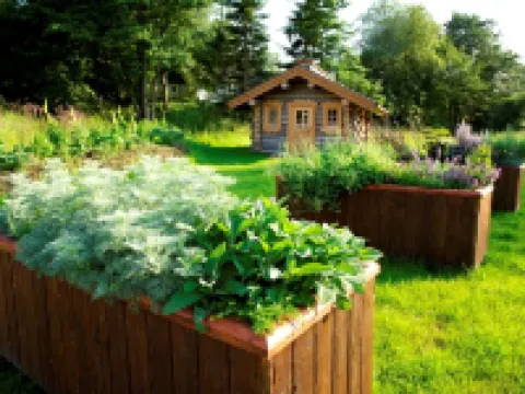 โรงแรมโรแมนติก วาลด์ชเลิสเชิน โรงแรมในชเลสวิก