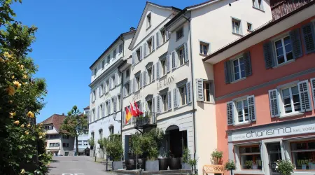 Hotel le Lion - Self Check-IN Отели в г. Амрисвиль