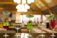 Dolphin Hotel - bar