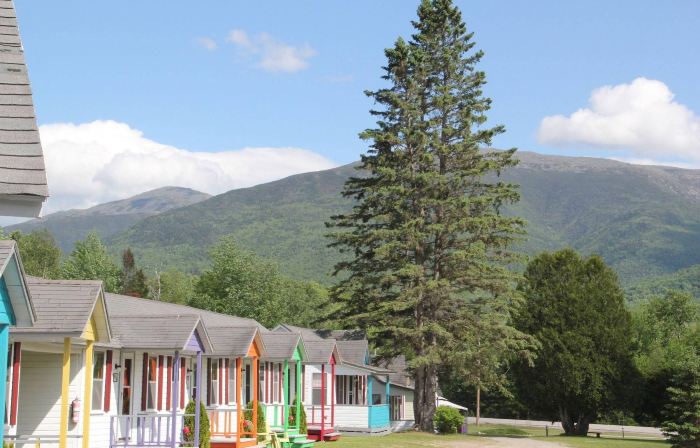 Mount Jefferson View