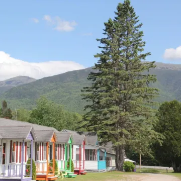 Mount Jefferson View