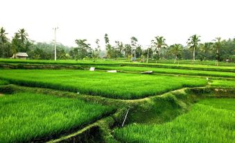 Ubud Sawah Scenery Villa and Homestay