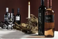 Hotel Restaurant Seegarten - Kæledyr tilladt