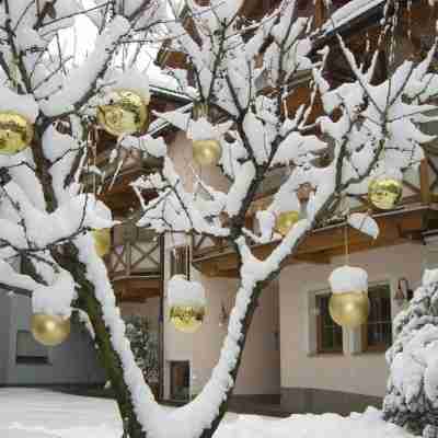 Hotel Ristorante Lewald Hotel Exterior