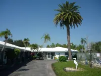 Palm Court Motel Hotels in Palm Harbor