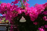 Akdeniz Hotel Hotels in Ekincik