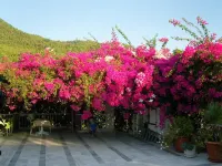 Akdeniz Hotel Hotels in Ekincik