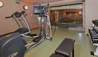 Banff Caribou Lodge and Spa - Gym