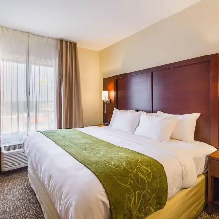 Comfort Suites Greenville South