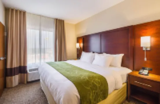 컴포트 스위트 그린빌 사우스 파우더스빌 호텔