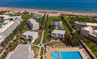 Delfina Tropic Beach