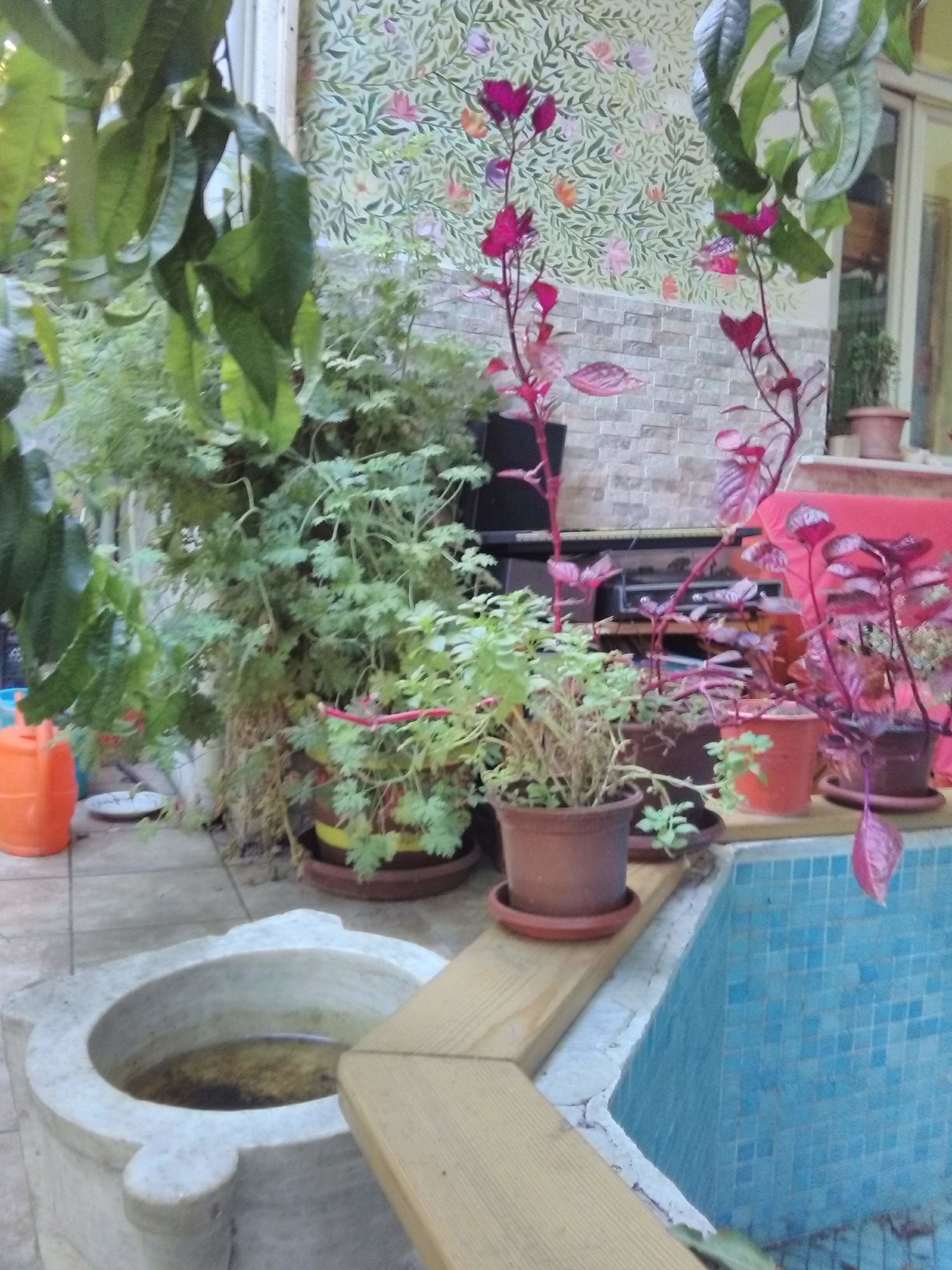 Lotus Garden Hostel Izmir