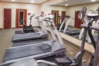 Holiday Inn Express & Suites Gainesville Hotels in Valley View
