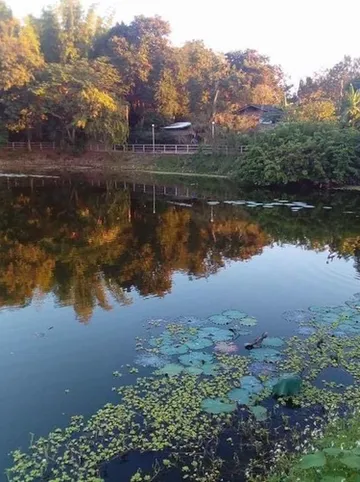 รูปภาพของโรงแรมปาโกด้าไซท์ จ.น่าน