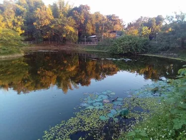 รูปภาพของโรงแรมปาโกด้าไซท์ จ.น่าน