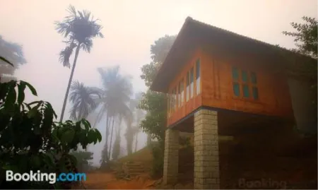 Avadale Wayanad - Stag Groups Not Allowed
