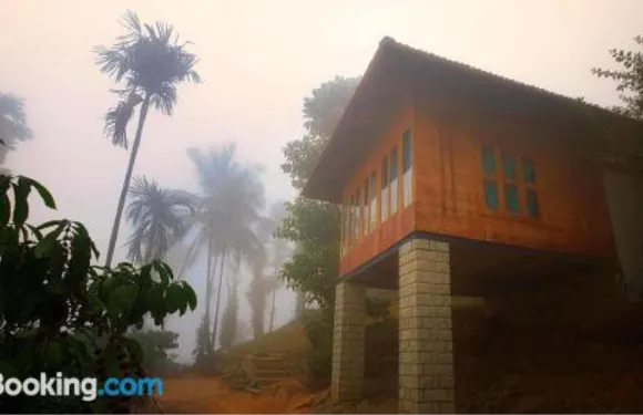 桔子醬之春度假村