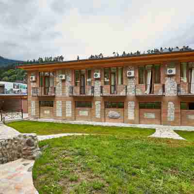 Hotel Old Borjomi Hotel Exterior