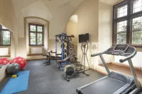 Hotel Gino Park Palace - Gym