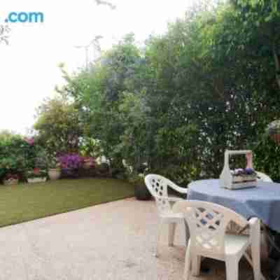 Eshkol Housing Haifa - Luxury Villa Panoramic Sea View חיפה כרמל Others