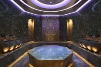 米蘭加利亞易克斯爾豪華精選酒店 - SPA