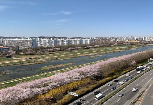 골드리버호텔 안양천 뷰