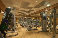 Safir Hotel Cairo - gimnasio