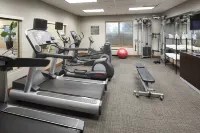 Residence Inn Chicago Lake Forest/Mettawa - Træningscentre