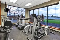 Holiday Inn & Suites Bolingbrook Hotels in Du Page Township
