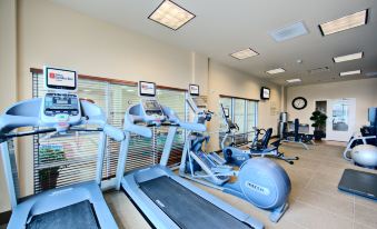a well - equipped gym with various exercise equipment , including treadmills and stationary bikes , near large windows that offer natural light at Hilton Garden Inn Laramie