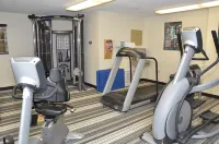 Sonesta Simply Suites Detroit Warren - Gym