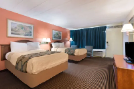 로열 인 클리어필드