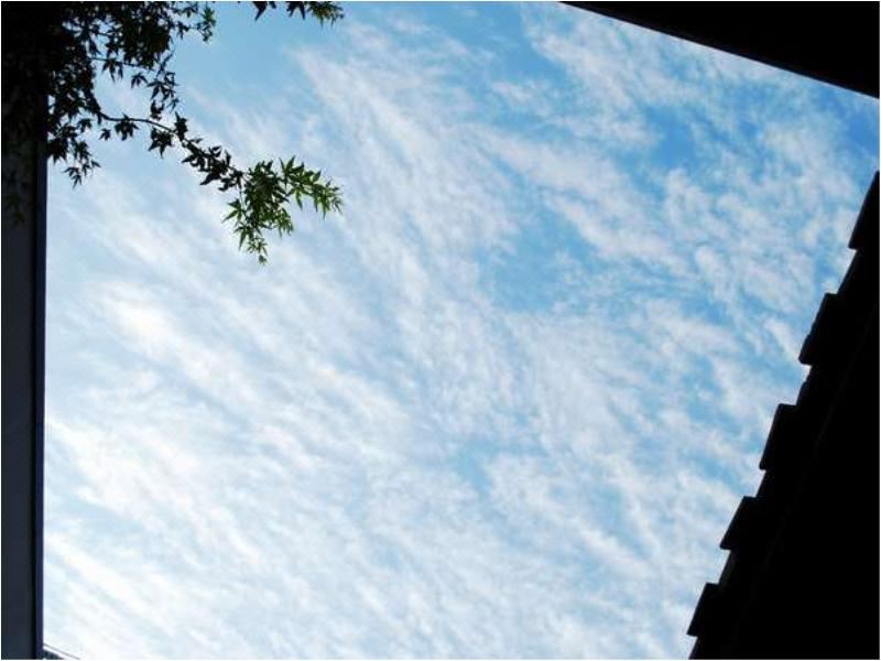 2. 도미 인 구마모..