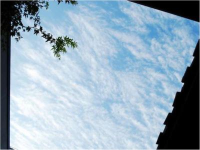 ホテル周辺 天然温泉 六花の湯 ドーミーイン熊本の写真