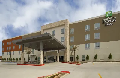 Holiday Inn Express & Suites LAKE CHARLES SOUTH CASINO AREA by IHG Hotels in Lake Charles