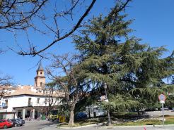 Apartamentos Deluxe Barajas