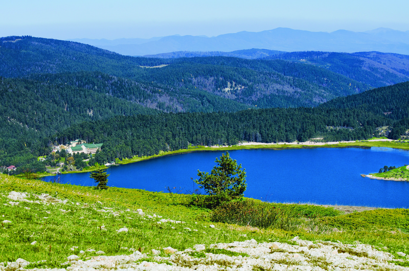 Büyük Abant Oteli (Buyuk Abant Hotel)