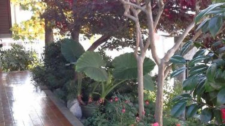 La Casa Delle Betulle