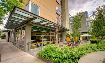 Staypineapple, Watertown Hotel, University District Seattle