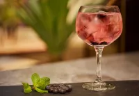 烏特勒支麗亭酒店 - 酒吧