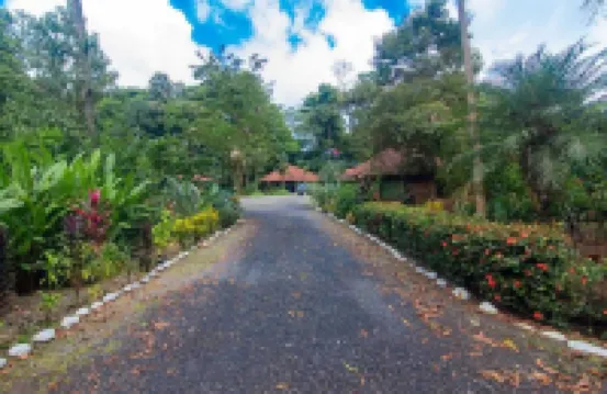 Sun Sun Lodge Hôtels à : 