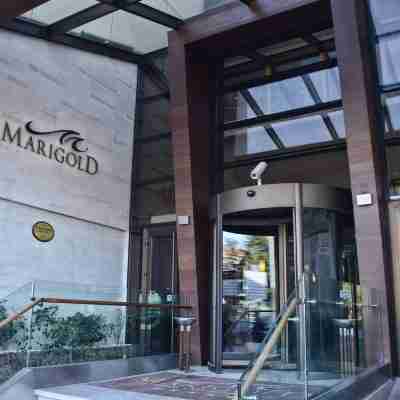 Marigold Thermal & Spa Hotel Bursa Hotel Exterior